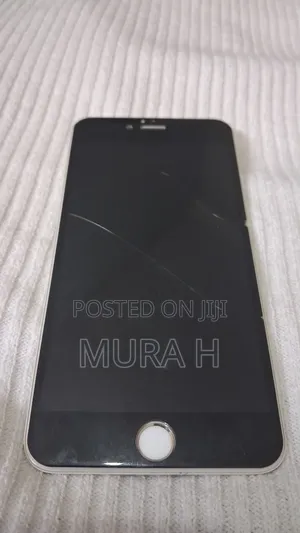 iPhone 6+ Screen