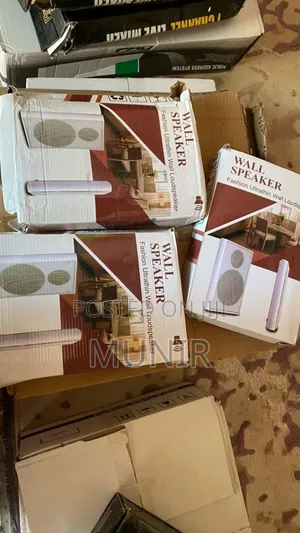 Wall Mounted Speaker