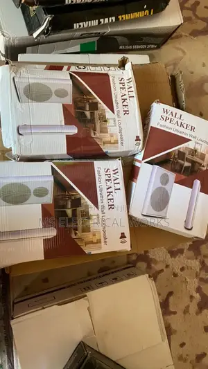 Wall Mounted Speaker