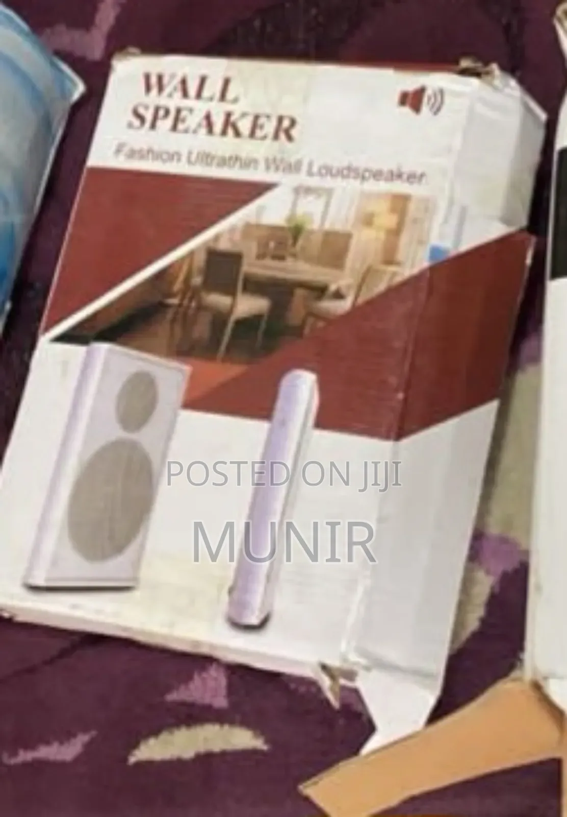 Wall Mounted Speaker