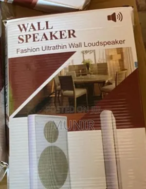 Wall Mounted Speaker