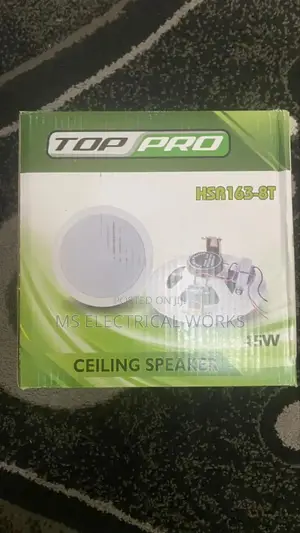 Ceiling Mounted Speaker