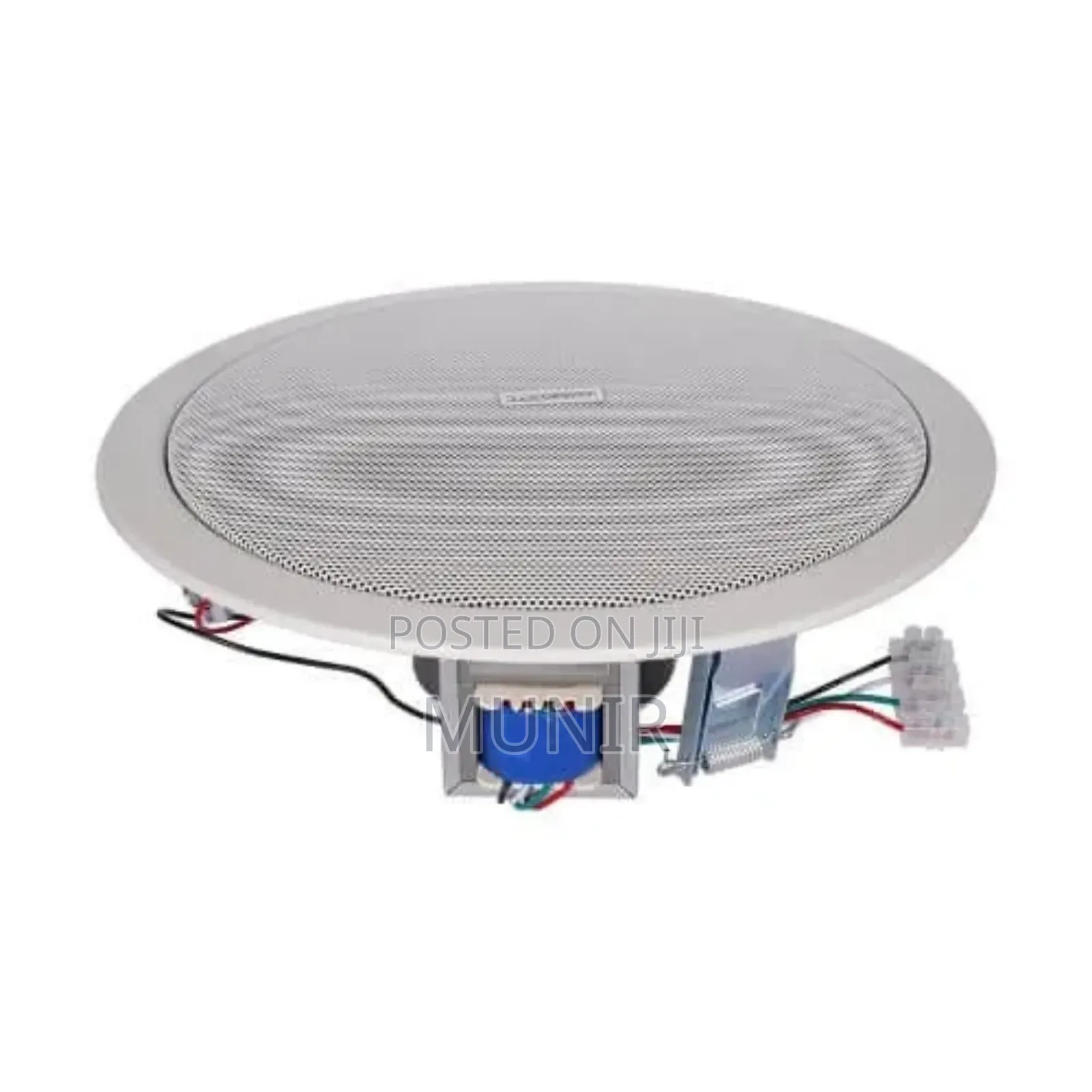 Ceiling Mounted Speaker