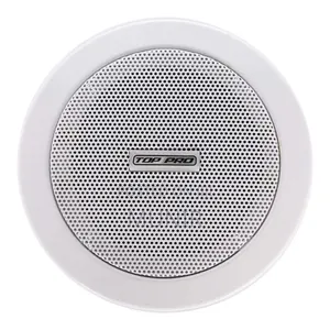 Ceiling Mounted Speaker