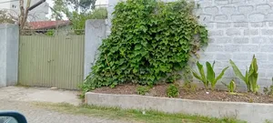 3bdrm House in Kolfe Keranio for sale