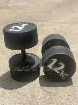 12kg Rubber Dumbbells