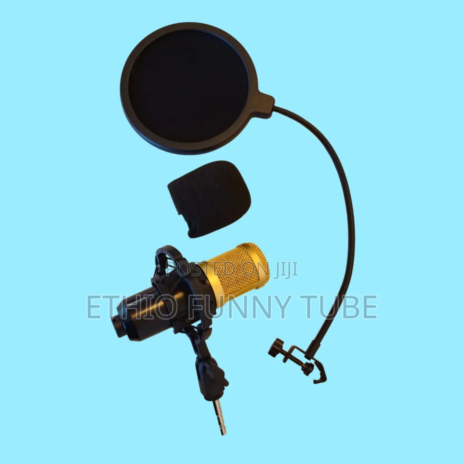 Condenser Microphone