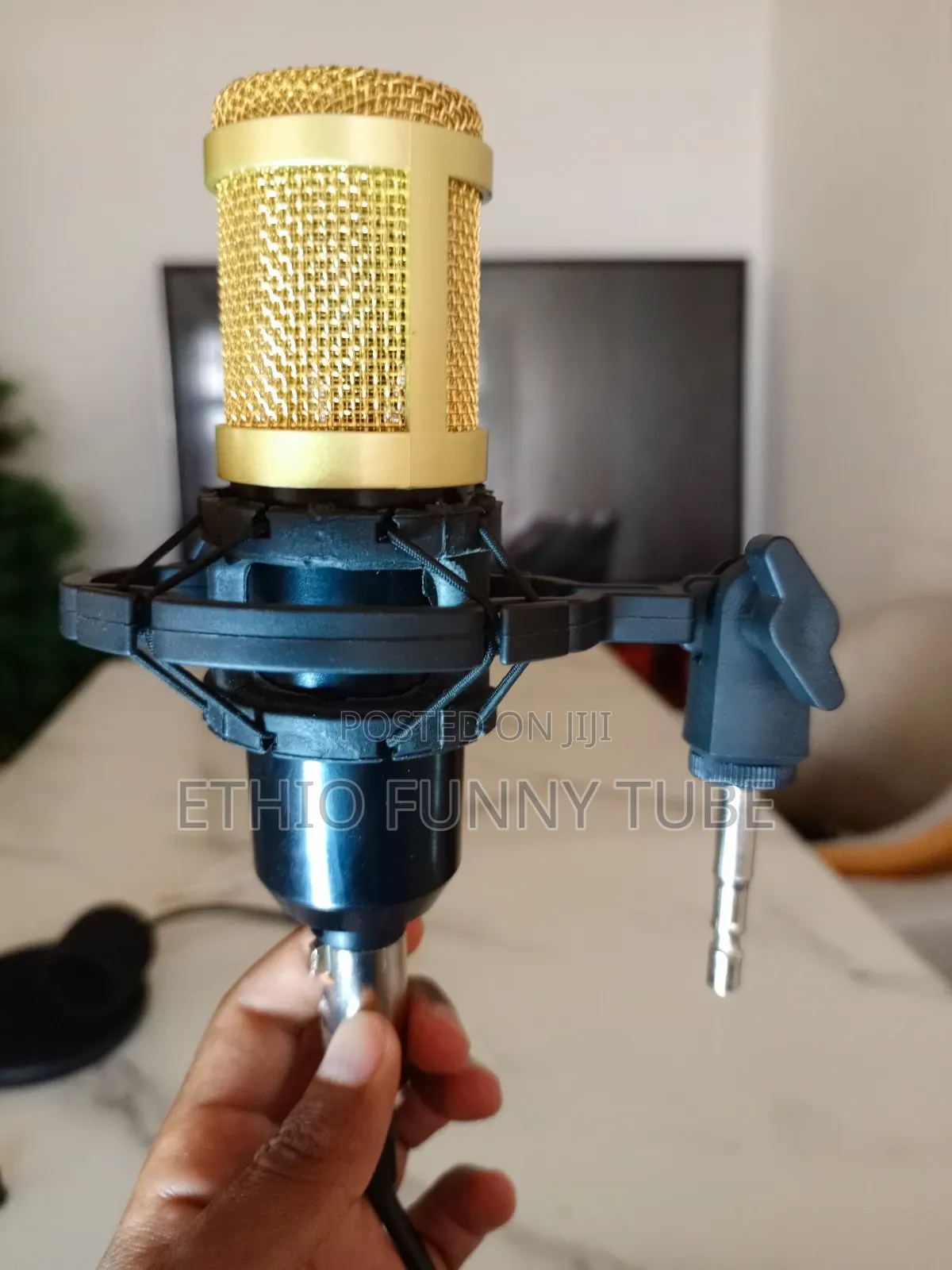 Condenser Microphone