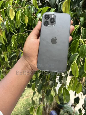 Apple iPhone 12 Pro Max 256 GB Gray