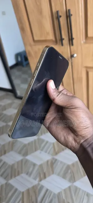 New Apple iPhone 13 Pro Max 256 GB Gold