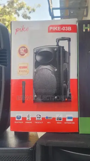 Pike Speaker 12” Pike-03b