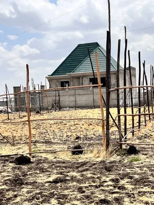 1bdrm House in ጣፎ, Oromia-Finfinne for sale