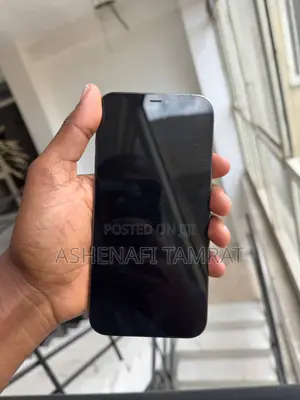 Apple iPhone 12 Pro Max 256 GB Gray