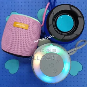 Portable Mini Speaker