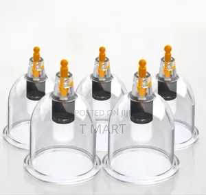 18chinnese Healthy Body Cupping Set Magnet Massage Vacuum Therapy Cups