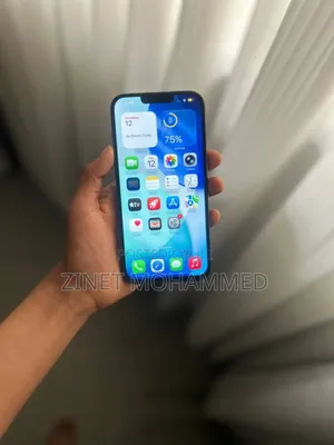 Apple iPhone 13 Pro Max 256 GB Gray