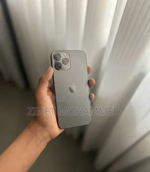 Apple iPhone 13 Pro Max 256 GB Gray