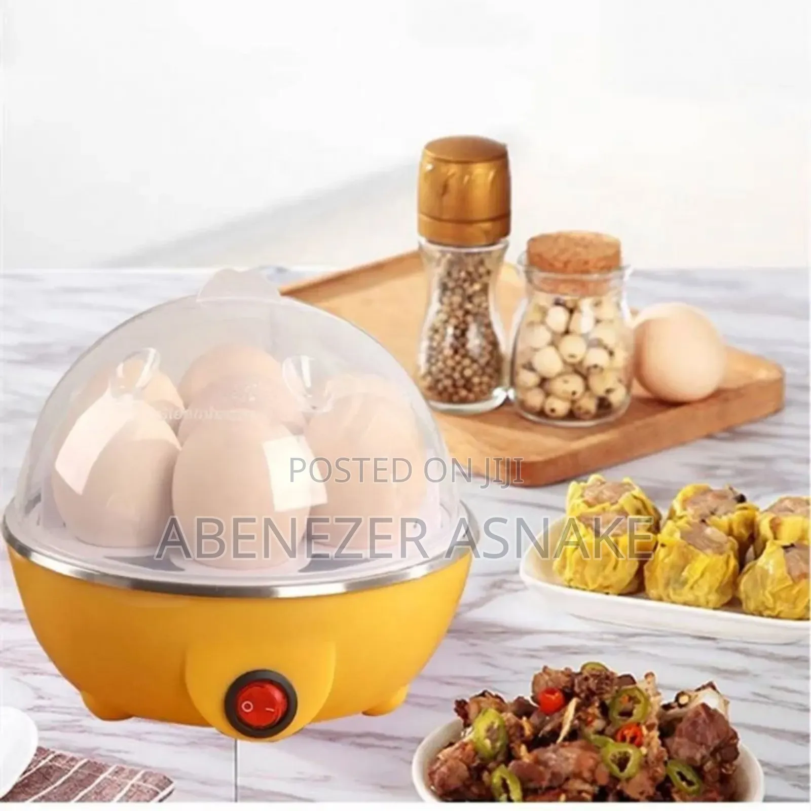 Electric Egg Poacher