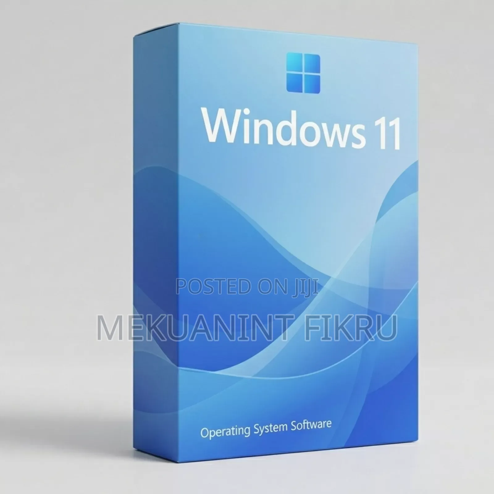 Windows 11