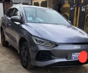 BYD E2 43 kWh 94 hp FWD 2024 Gray