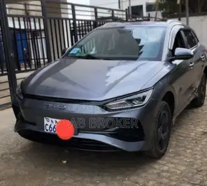 BYD E2 43 kWh 94 hp FWD 2024 Gray