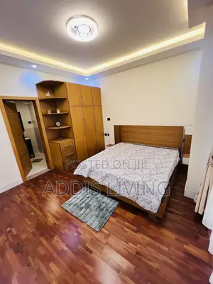 Furnished 3bdrm Apartment in Bole for rent