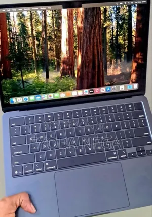 Laptop Apple MacBook Air 2025 M4 13-inch 16GB Apple M4 SSD 256GB