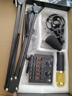 Professional Condenser Microphone