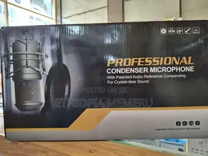 Professional Condenser Microphone