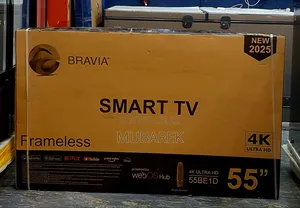 Bravia 55inche Tv