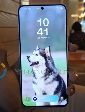 New Samsung Galaxy S25 FE 256 GB Gray