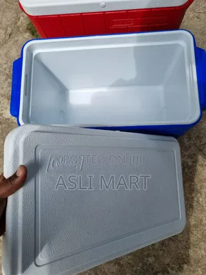 Ice Box Cooler Box 26 Litr