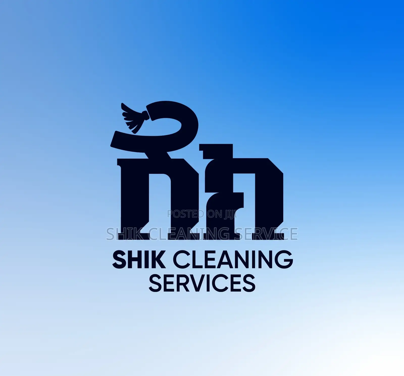 Professional B2b Cleaning Solutions