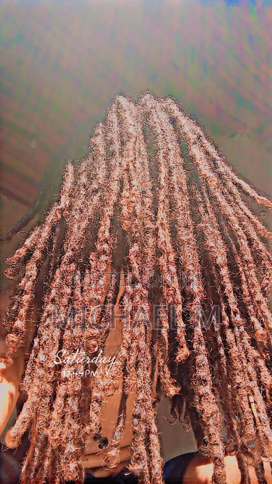Human Hair Dreadlock