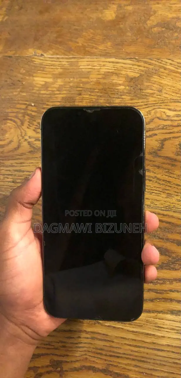 Apple iPhone 13 Pro Max 128 GB Gray