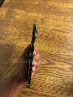 Apple iPhone 13 Pro Max 128 GB Gray