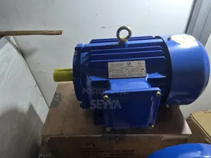 Electric Motor