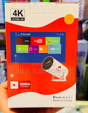 Pozzer Projector Smart Projector