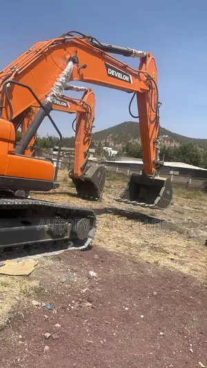 Develon Excavator 360 by Cash