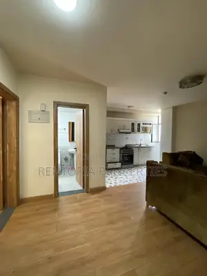 Furnished 1bdrm Apartment in Bole for rent