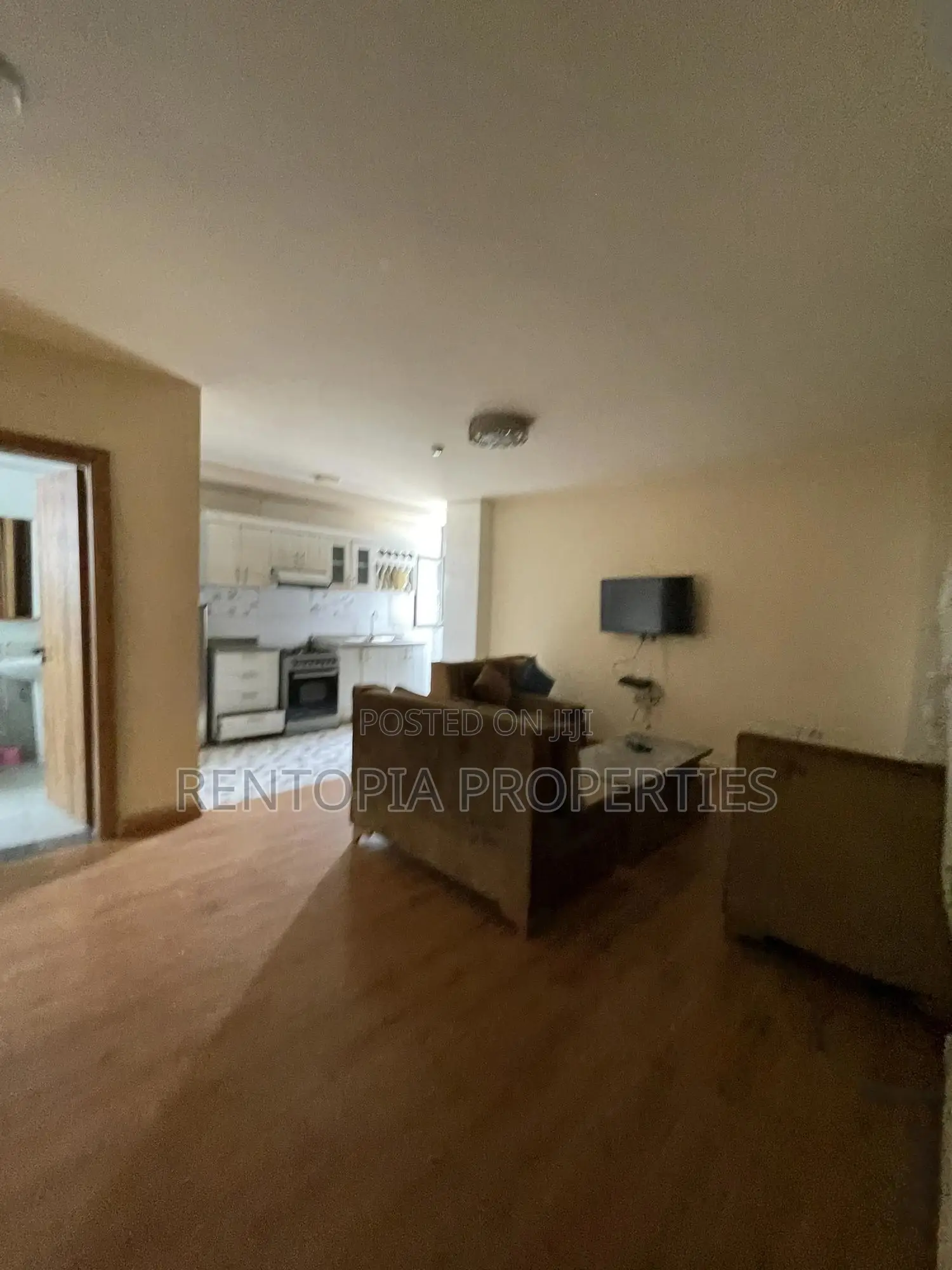 Furnished 1bdrm Apartment in Bole for rent