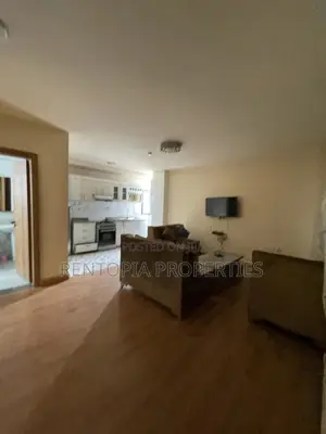 Furnished 1bdrm Apartment in Bole for rent