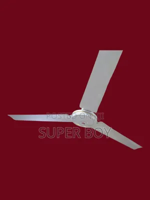 Ceiling Fan