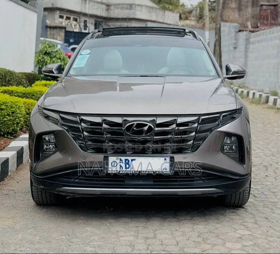 Hyundai Tucson 2021 Brown
