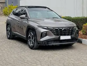 Hyundai Tucson 2021 Brown