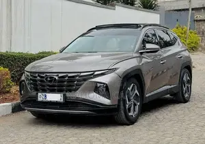 Hyundai Tucson 2021 Brown
