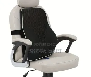Memory Foam Lumbar Support Office Chair Support for Back Pain Relief