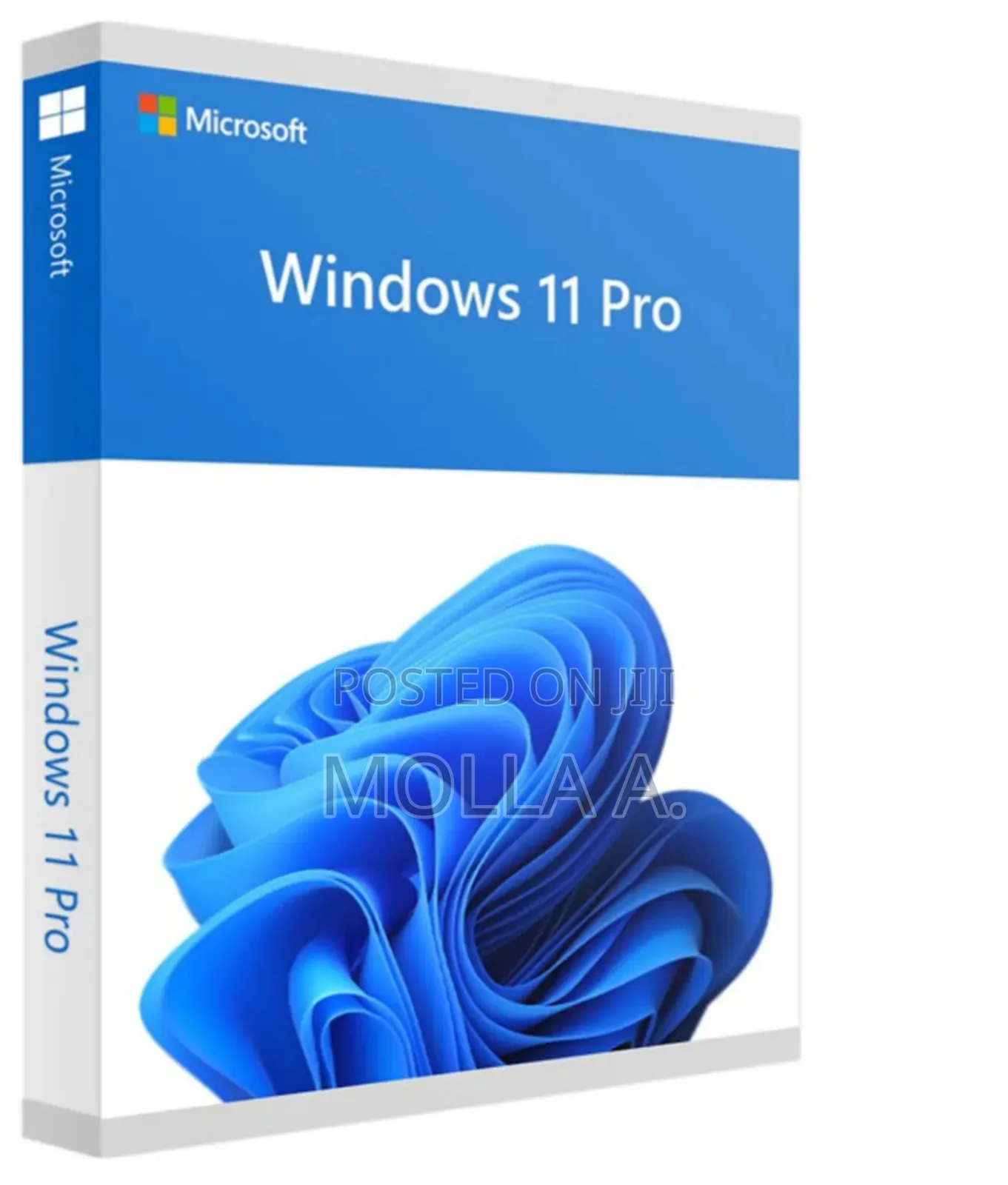 Window 10 Setup