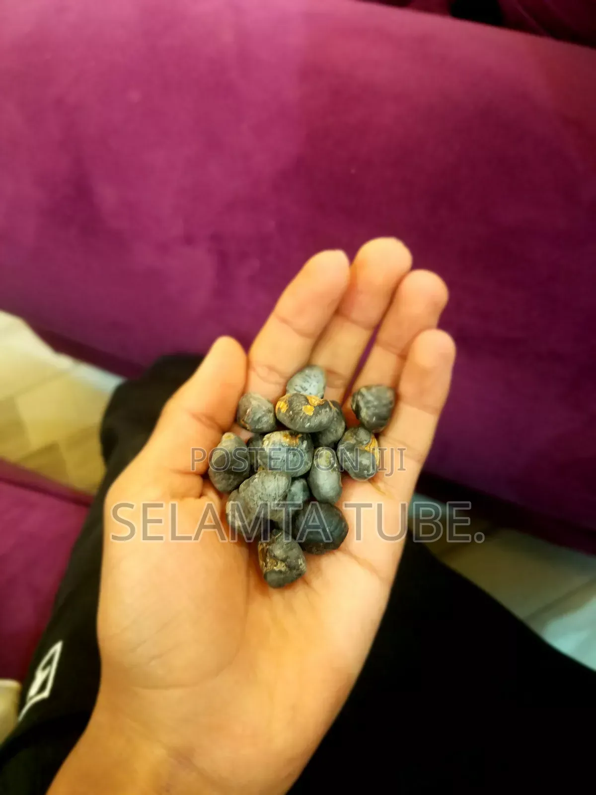 Banana Seed