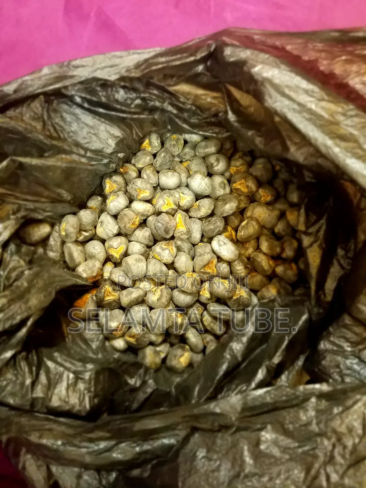 Banana Seed